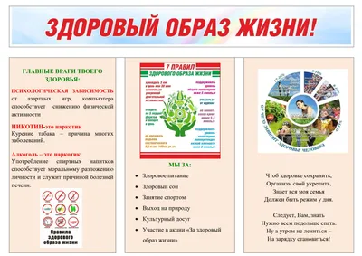 Проект на тему \"Здоровый образ жизни\"