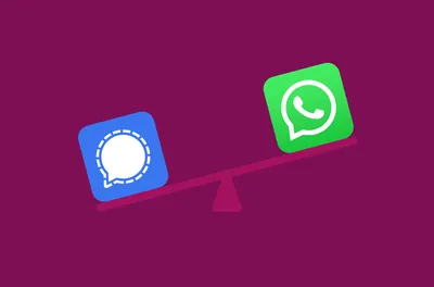 How to create a link with your WhatsApp number [Guide 2024] | Callbell