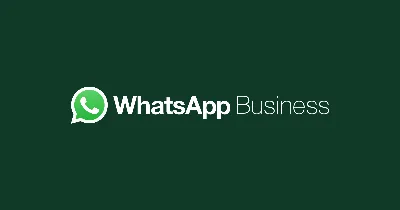 Die BNN sind wieder bei WhatsApp – Infos aus der Region und zum KSC