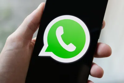 How to integrate WhatsApp on your website | Callbell