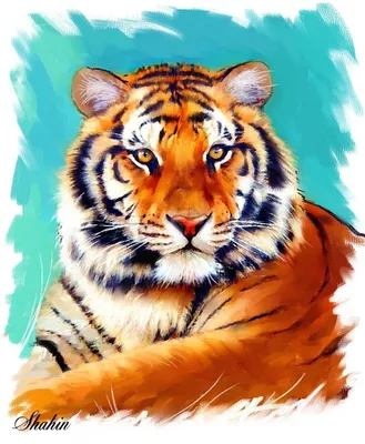 Картинки нарисованных тигров