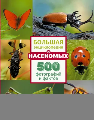 Ученые предлагают насекомых как альтернативу свинине и курятине |  Ветеринария и жизнь