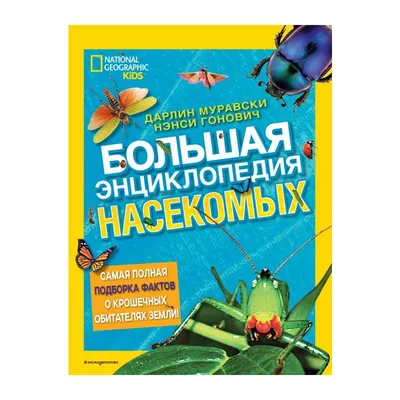 Школьная медсестра: укусы насекомых и животных требуют быстрых и  решительных действий | Эстония | ERR