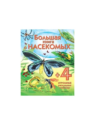 Нашествие насекомых взволновало жителей Ставрополя