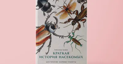 В ЕС одобрили поставки еды из насекомых для людей | Ветеринария и жизнь