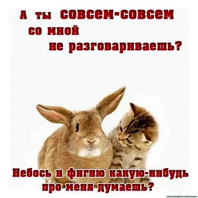 Подарок \"Открой когда...\" для парня. Продолжение  🌸🌸🌸🌸🌸🌸🌸🌸🌸🌸🌸🌸🌸🌸🌸🌸🌸🌸 Он практически универсален, а также  его можно дарить и без повода… | Instagram