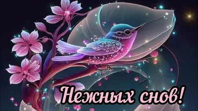 Спокойной ночи 🌙 Приятных и нежных снов 🦋🦋🦋 - YouTube