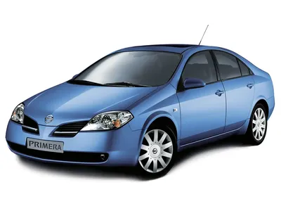 Nissan Primera (Ниссан Примера) - Продажа, Цены, Отзывы, Фото: 1033  объявления