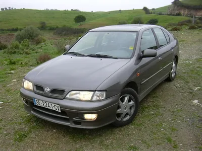 COAL: 1997 Nissan Primera GT /Infiniti G20 - A Dark Horse Family Car -  Curbside Classic