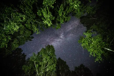 Чудеса Ночного Неба стоковое изображение. изображение насчитывающей  сценарно - 161774119