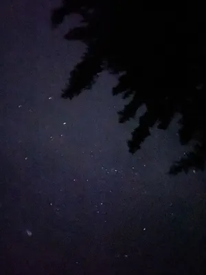 Созвездия на фоне ночного неба знаки зодиака on Craiyon