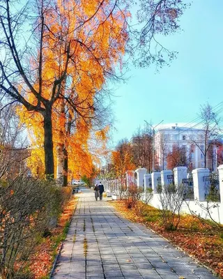 Фотозарисовка «Отдых на природе в начале ноября» (20 фото). Воспитателям  детских садов, школьным учителям и педагогам - Маам.ру