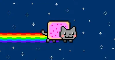 Nyan cat, Cats, Pets cats