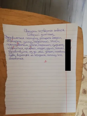 Честность: что это за качество и каково ее значение в нашей жизни? -  7Дней.ру