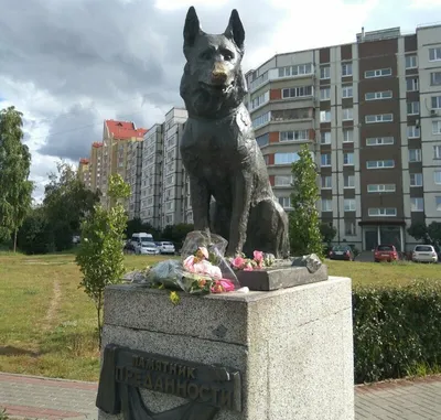 Памятник преданности | Родительский комитет Zа Победу!