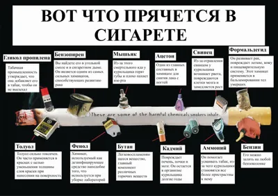 О вреде курения | Областное государственное автономное учреждение  здравоохранения «Усть-Илимская городская поликлиника № 1» | Версия для  слабовидящих