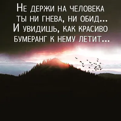 Мужа и семью не дам в обиду - Айжан Байзакова дала отпор хейтерам