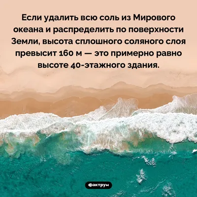 ЮНКТАД: экономика мирового океана оценивается в 3-6 млрд долларов | Новости  ООН