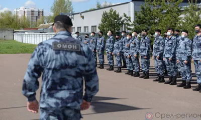 Тюменский ОМОН отмечает профессиональный праздник | Вслух.ru