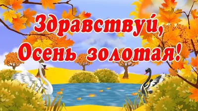 Осень золотая | Пикабу