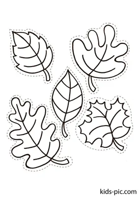 Шаблоны Осенних Листьев Для Вырезания | Kids-Pic.com | Fall leaf template,  Leaf template, Leaves template free printable