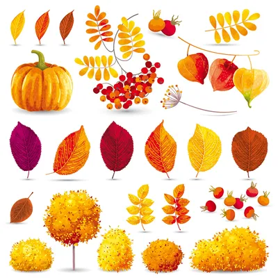 autumn, fall, printables, pumpkin, осень, осенние листья, рябина, тыква,  для печати, для вырезания | Осенние тыквы, Осенние деревья, Акварельные  иллюстрации