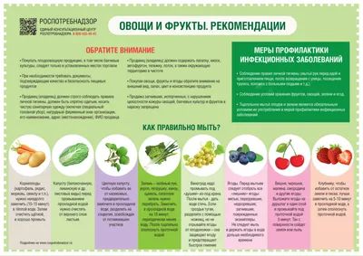 Найди тень Овощи, Фрукты, Ягоды - карточки Монтессори купить и скачать