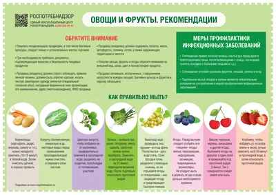 Много свежих овощей и фруктов Фон И картинка для бесплатной загрузки -  Pngtree