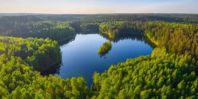 Где искупаться? Самые живописные озера Эстонии, где можно хорошо отдохнуть  в жару - Turist