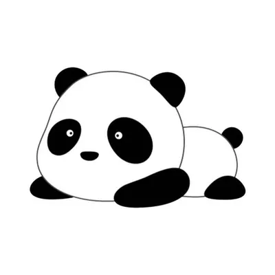 Panda. Панда. PNG. | Панда, Самые милые животные, Детеныш панды