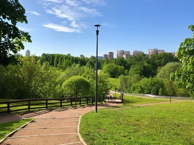 Ландшафтный парк в ТПУ «Некрасовка» — Комплекс градостроительной политики и  строительства города Москвы