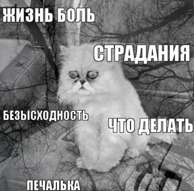 Не то чтоб он… её любил, Но он скучал... и тихо ... - \"БУМАЖНЫЙ ЗМЕЙ\"),  №2429216473 | Фотострана – cайт знакомств, развлечений и игр