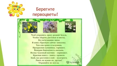 3 популярных первоцвета наших лесов и садов | Первоцветы, Почвопокровные  растения, Сад