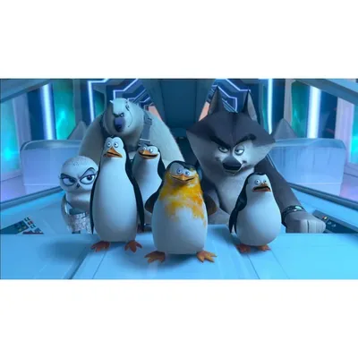 Пингвины Мадагаскара - Кинокадры к фильму / The Penguins of Madagascar / -  все о фильме, кадры, рецензия, обои, отзывы зрителей, видеоролики,  саундтреки и др.