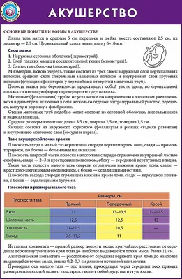 Книга Справочник по акушерству и гинекологии (-) 1980 г. Артикул: 11180735  купить