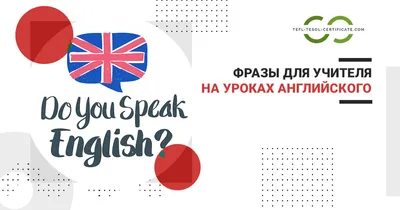 Курсы английского языка онлайн с носителем в школе AAA English в Москве