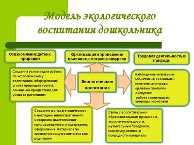 Занимательная экология: комплект рабочих листов для занятий с детьми 5-7  лет - купить подготовки к школе в интернет-магазинах, цены на Мегамаркет |  883п