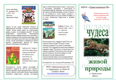 В Год экологии Российское движение школьников определит лучший школьный  эко-отряд страны |РДШ — Российское движение школьников