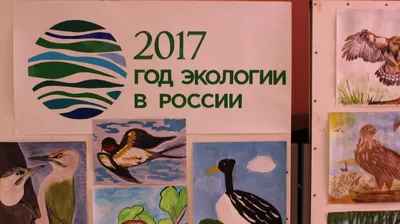 Практическая экология для младших школьников. 1 класс. Учебное пособие по  курсу внеурочной деятельности - Григорьева Е.В., Скрипова Н.Е., Титаренко  Н.Н. | Купить с доставкой в книжном интернет-магазине fkniga.ru | ISBN:  978-5-53302586-7