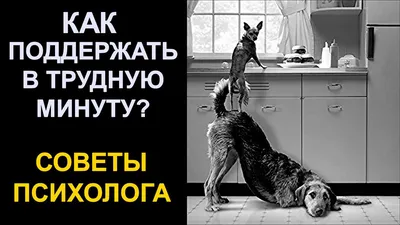 Живое и действенное Слово поддержит вас в трудную минуту l Библия l Молитва  - YouTube