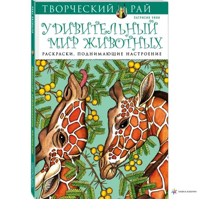 Котики. Раскраски, поднимающие настроение - купить раскраску Котики.  Раскраски, поднимающие настроение в Минске — OZ.by