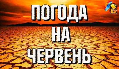 Погода на неделю: дожди, грозы со шквалистым ветером и до +27°С |  MogilevNews | Новости Могилева и Могилевской области