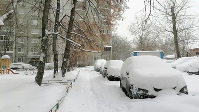 Влияние погоды на настроение человека: связь между погодой и эмоциональным  состоянием | Природная картина | Дзен