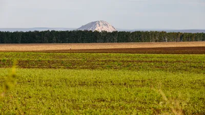 панорама сельскохозяйственного поля летом в солнечный день с облаками,  Россия Stock-Foto | Adobe Stock