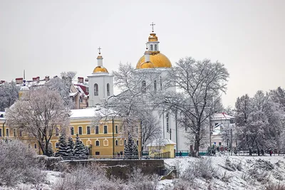 Герб Полоцка — Википедия