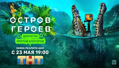 4 сентября в Минске пройдет уникальное событие. Приглашаем всех на BloGoool  Fest! | СДЮШОР имени Руслана Салея