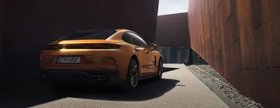 New 2024 Porsche 911 could be all you ever need from a sports car | Auto  Express