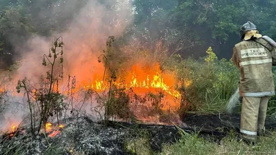 Ураганный огонь: тысячи человек бежали от пожара в Калифорнии | Фотогалереи  | Известия