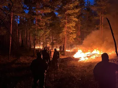 От лесного пожара в Казахстане на границе с Россией погибли три человека |  ИА Красная Весна