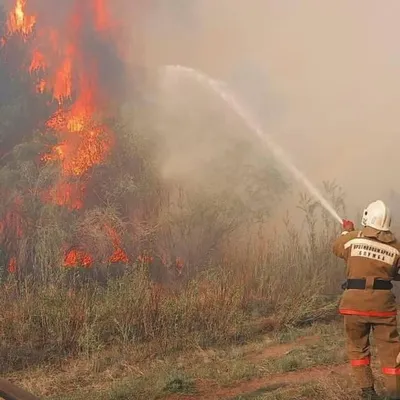 Соцсети: найден виновный пожара в Геленджике, уничтоживший 5 га леса
